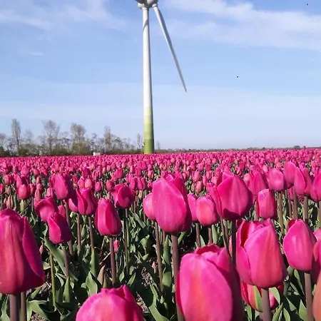 Appartamento Casa Quak